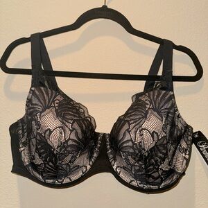 Paramour Bra / Lingerie NWT